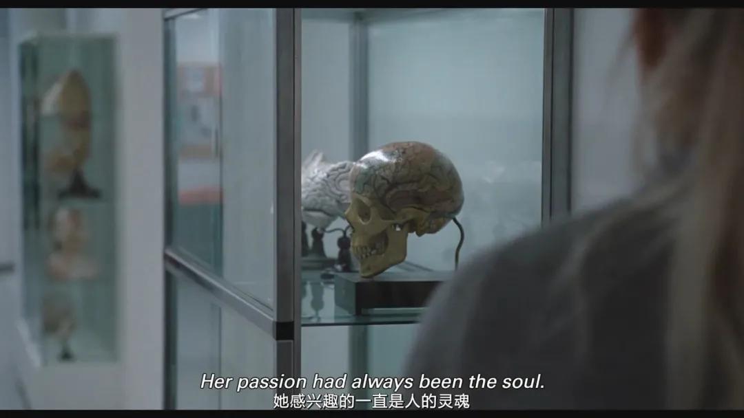 奥巴马推荐的影片,奥巴马演过哪些电影