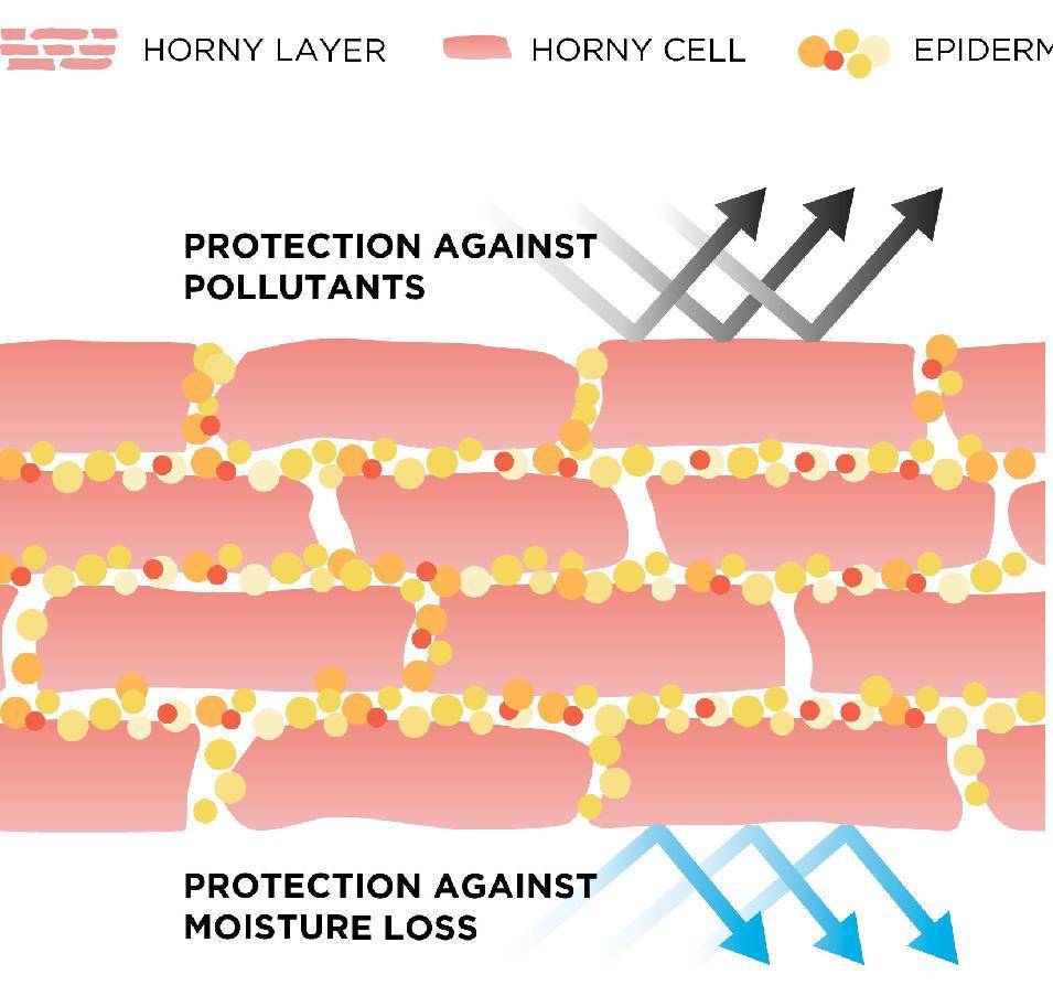 用了护肤品皮肤刺痛是缺水吗,护肤刺痛缺水怎么回事