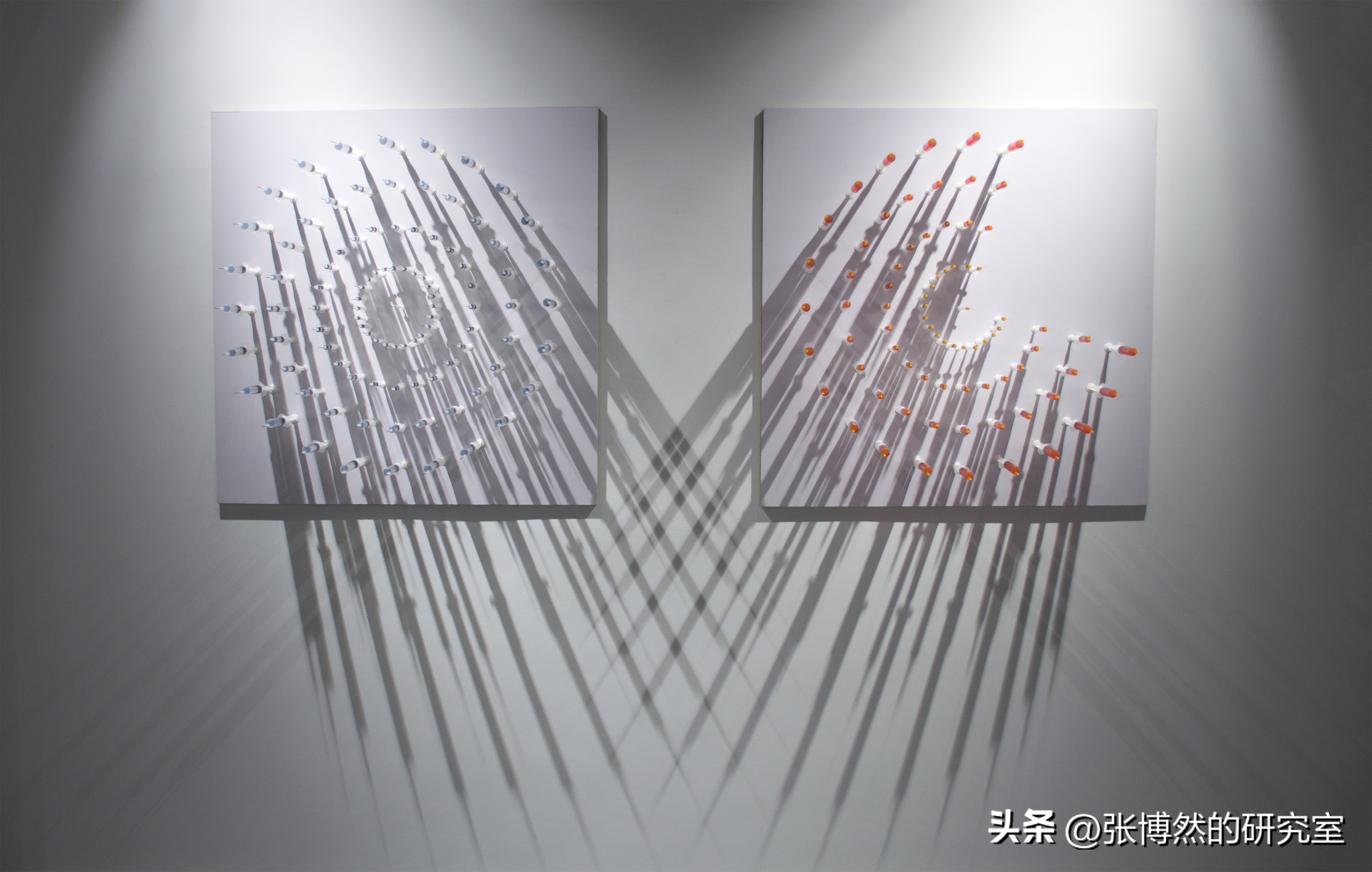 当代艺术的社会政治批判性：商业化与社会接受度的挑战与前景