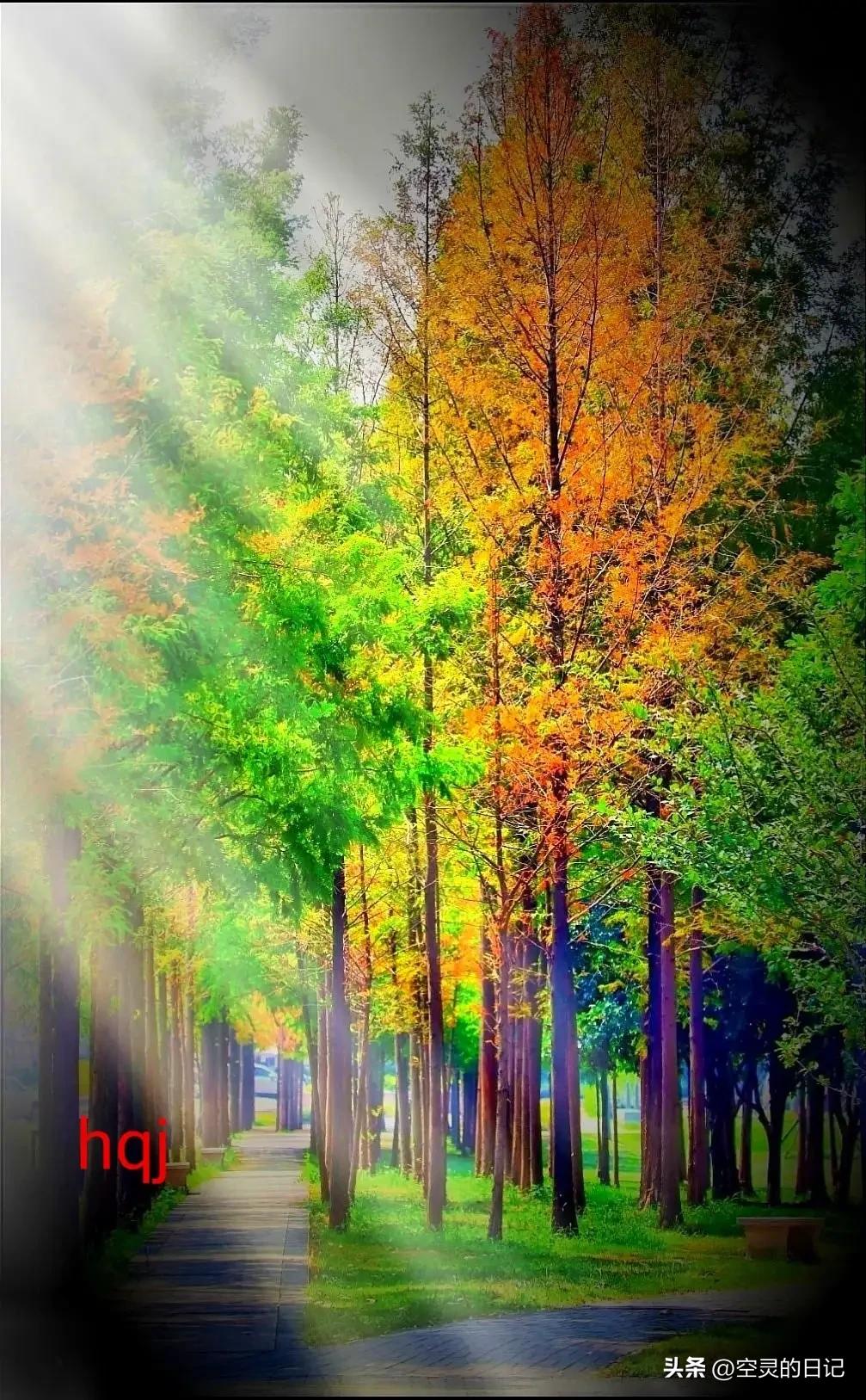 濡備綍鎵嶈兘鐪嬭浣犵殑瀹归,鎬庝箞鐪嬩綘鏄惁婕備寒