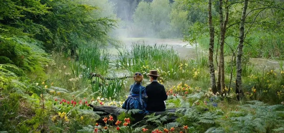 顶级猫奴！天才画家用余生为亡妻画猫，却被送进精神病院…