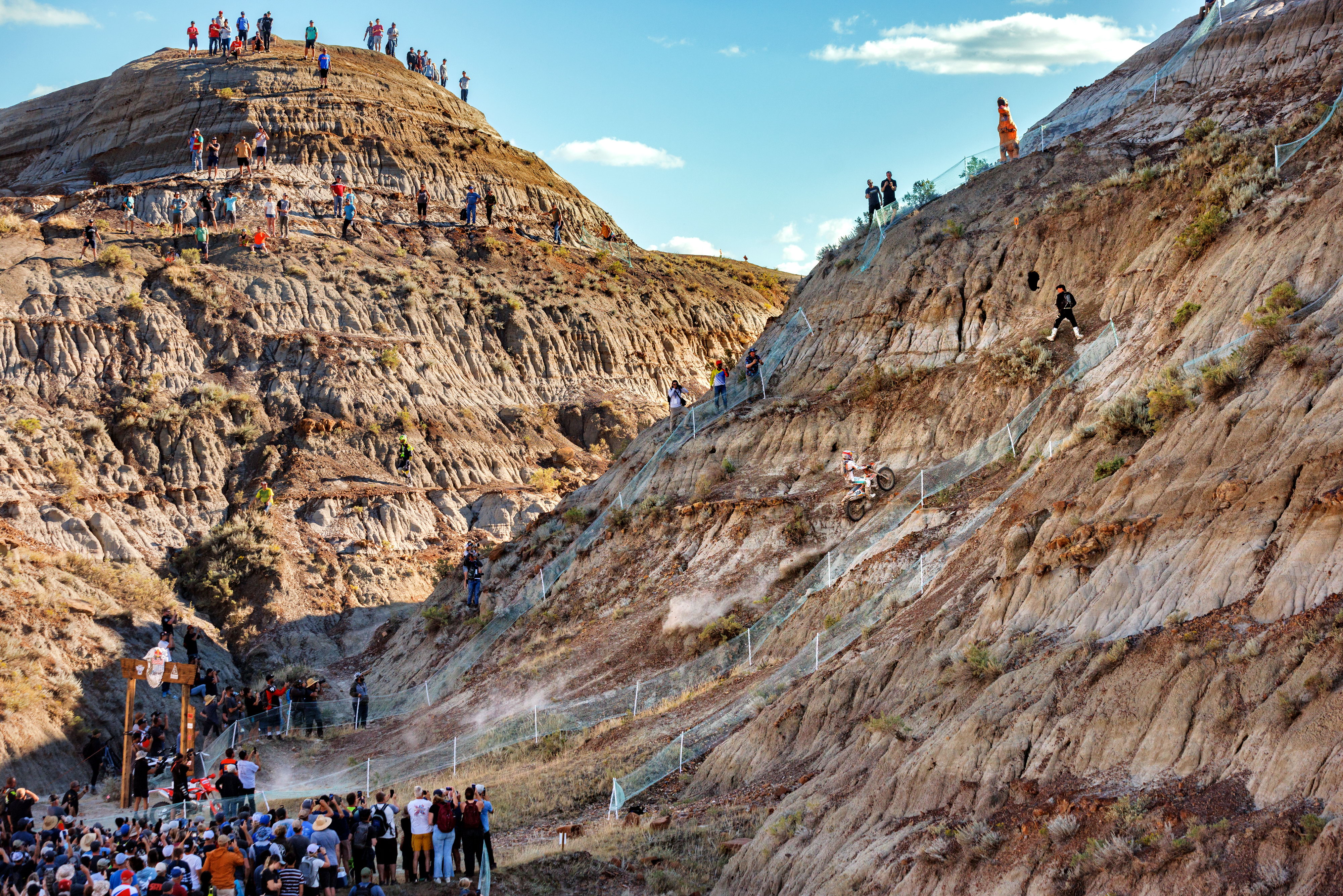 德国拉力赛车手,德国自行车选手七次获得冠军