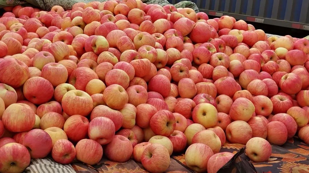 两串葡萄568元,街上叫卖20元一箱的葡萄