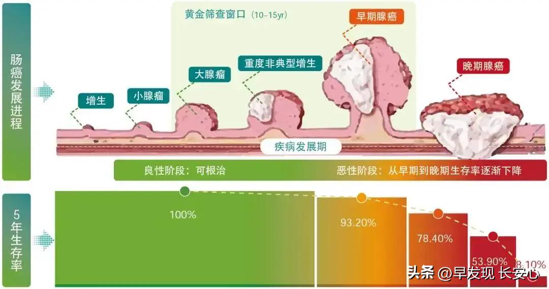 愿球王安息完整版,球王贝利最大的遗憾