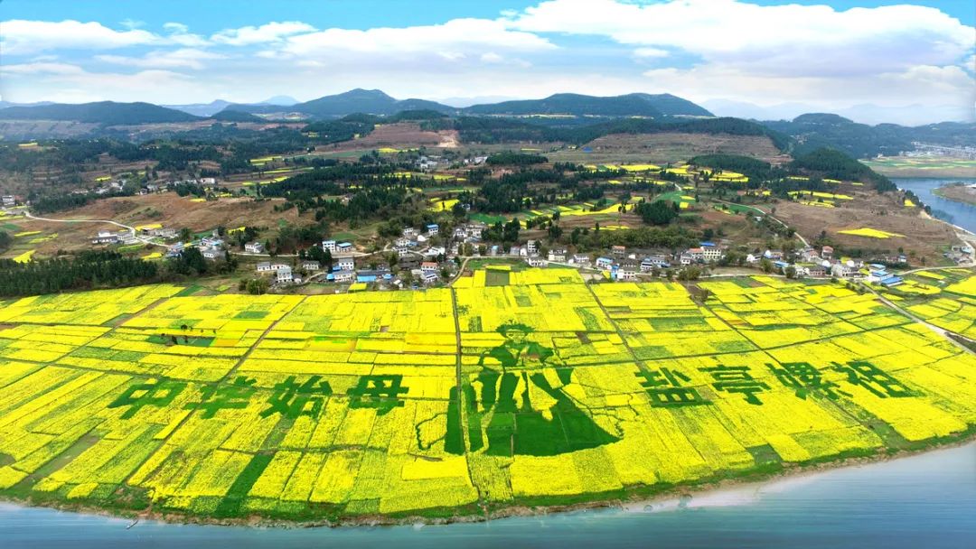 如果你要写盐亭，就不要只写盐亭