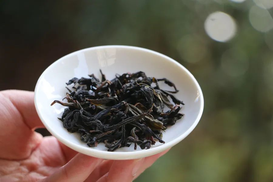 史上最全的茶叶养生知识是什么呢,茶叶真的有养生效果吗