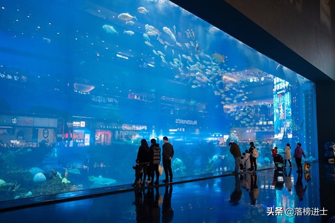 成都浩海立方的海洋馆游玩攻略,浩海立方成都海洋馆世界之最