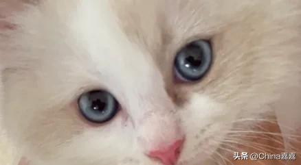 这个才能治愈你的不开心