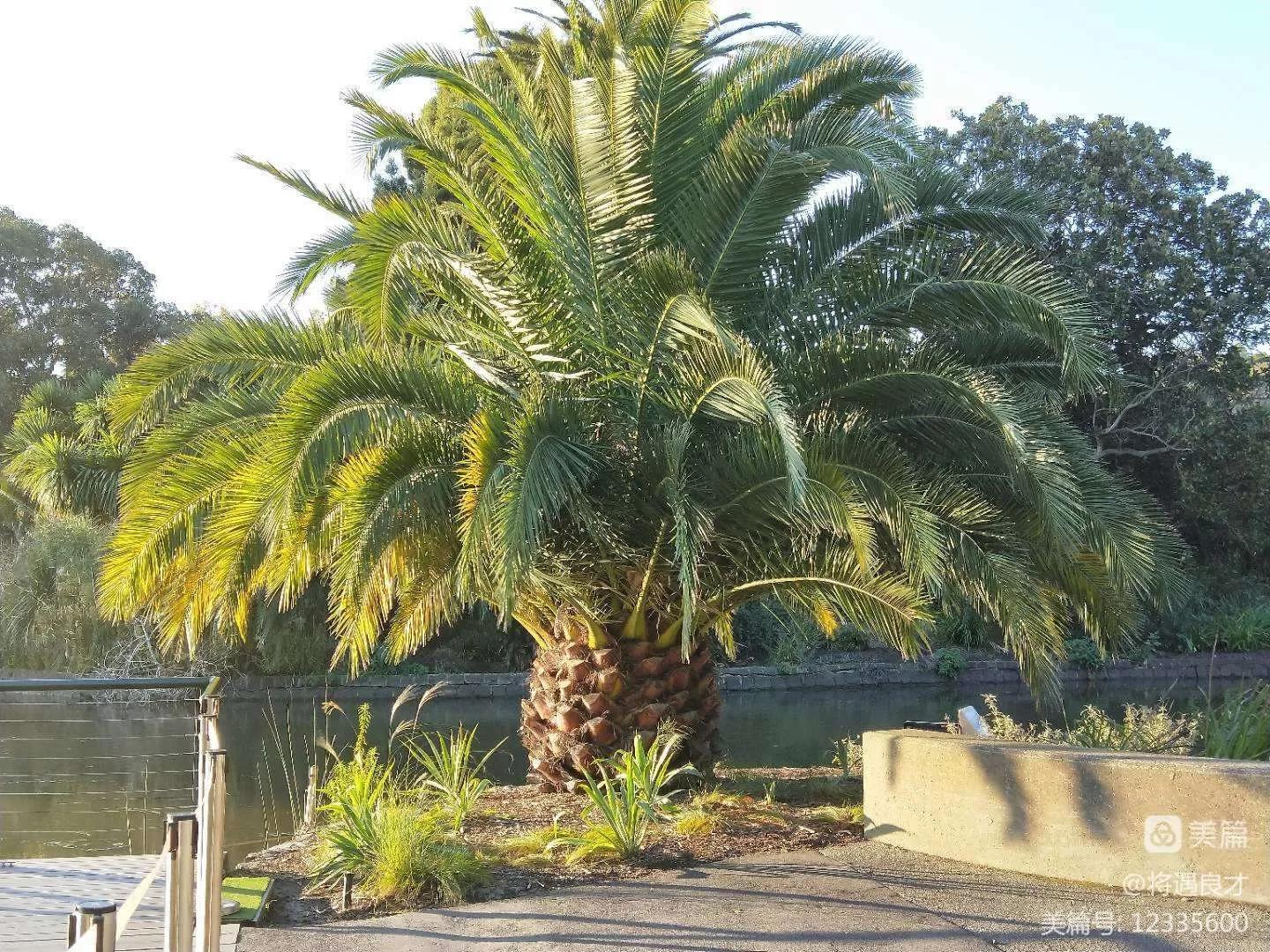 墨尔本旅游文化名城,游澳洲墨尔本