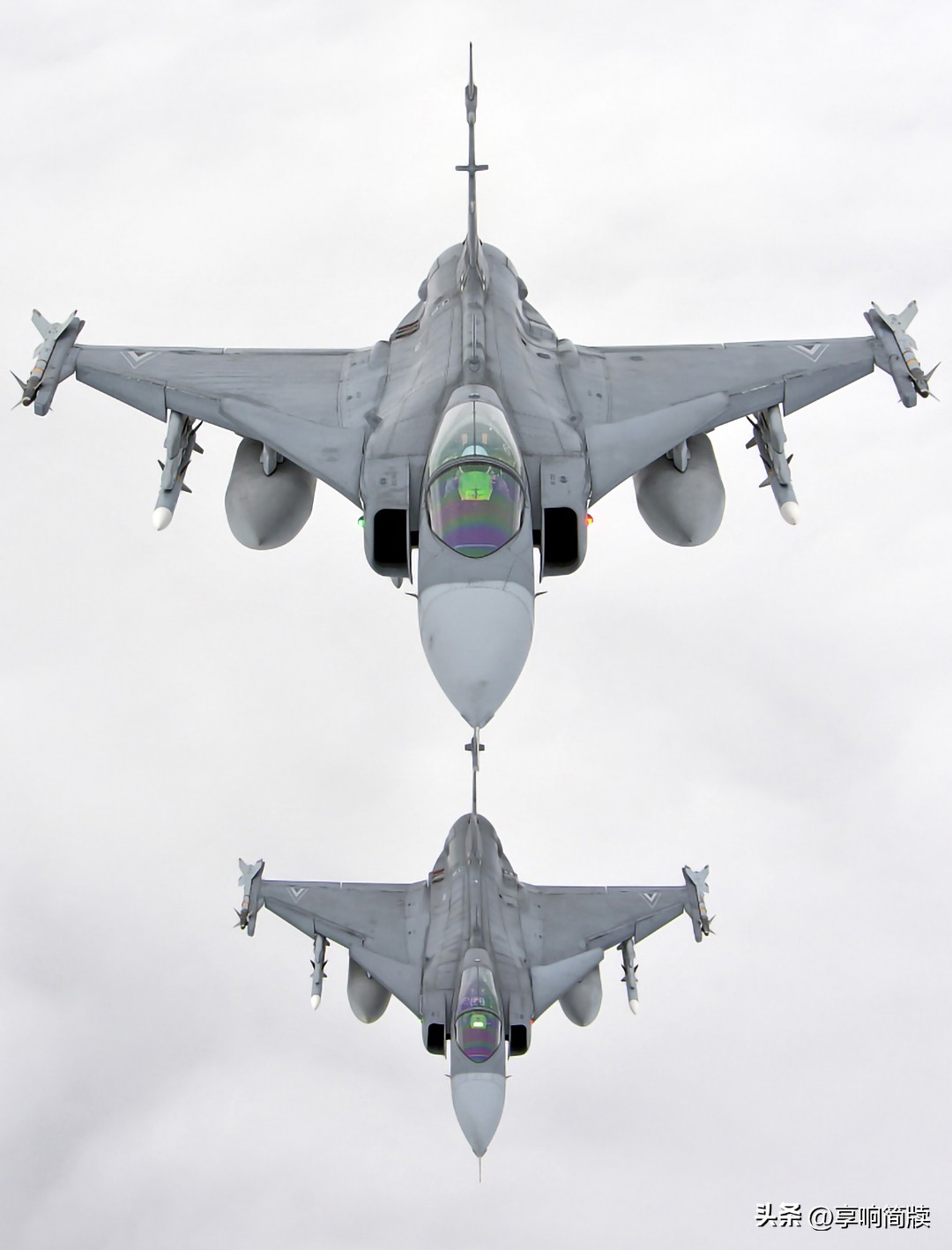 jas-39鹰狮战斗机,jas39鹰狮战斗机外贸版