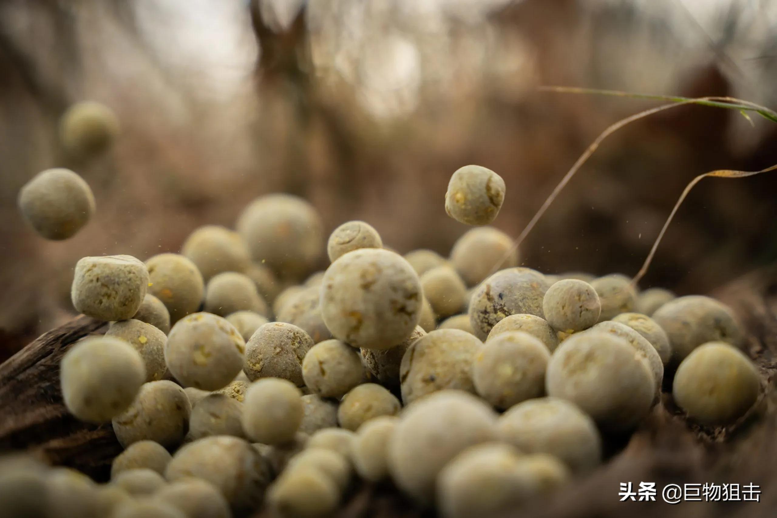 钓鱼人最苦的是什么,钓鱼人可不能苦了自己