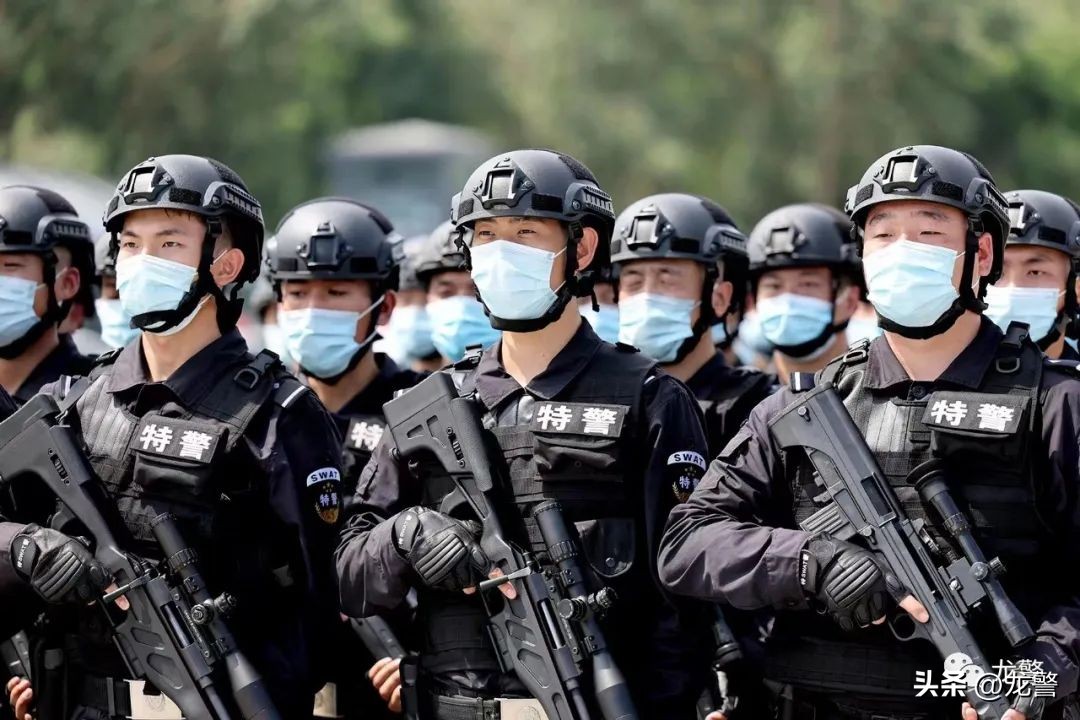 龙警十年，让高质量发展底色更亮