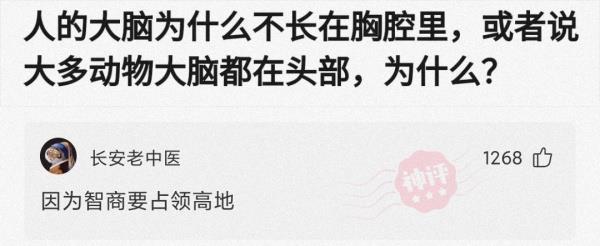 新买的板鞋质量好吗,新买的板鞋气味很重质量好吗