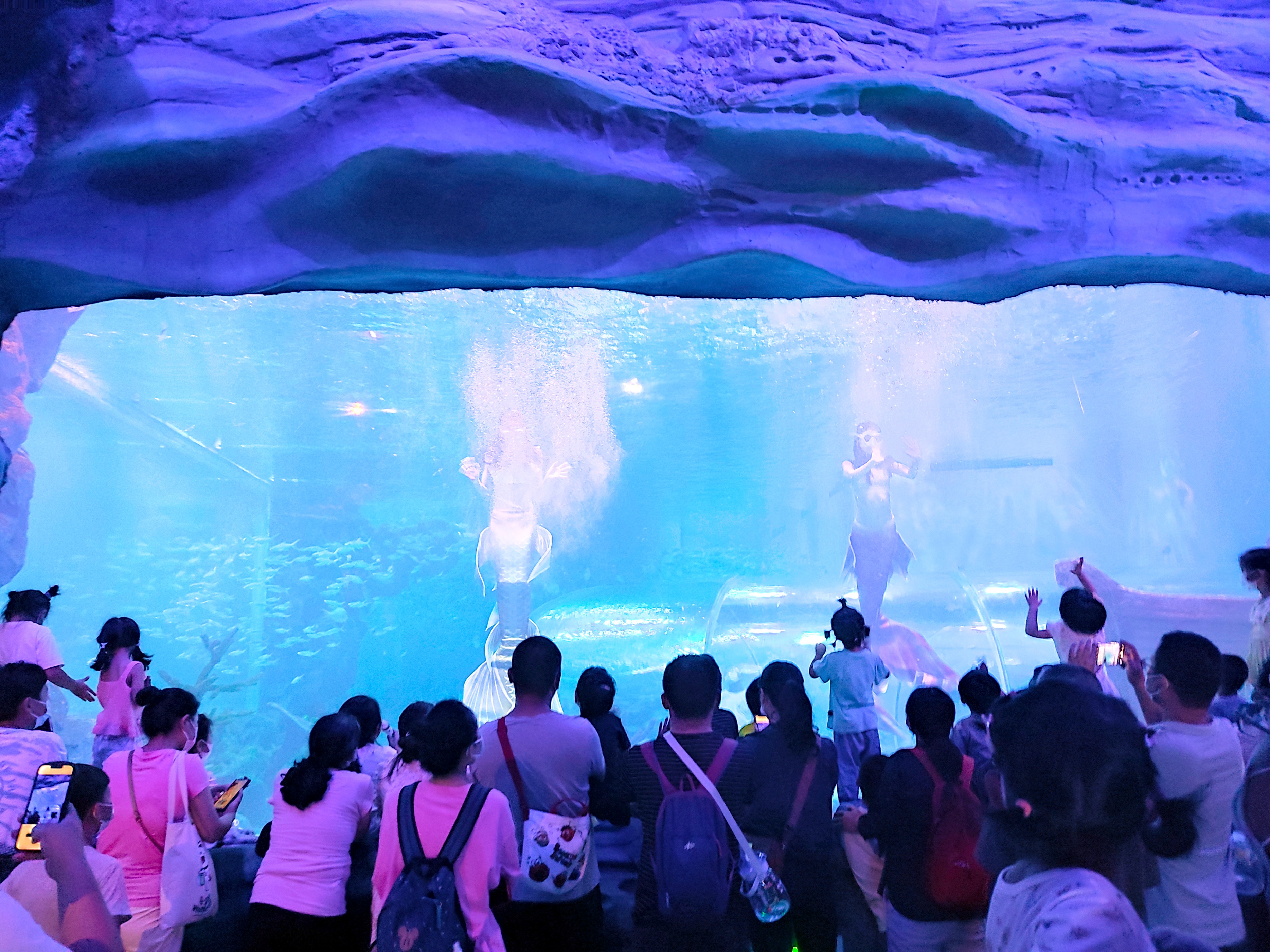 北京海底世界旅游区,北京海底世界游玩攻略