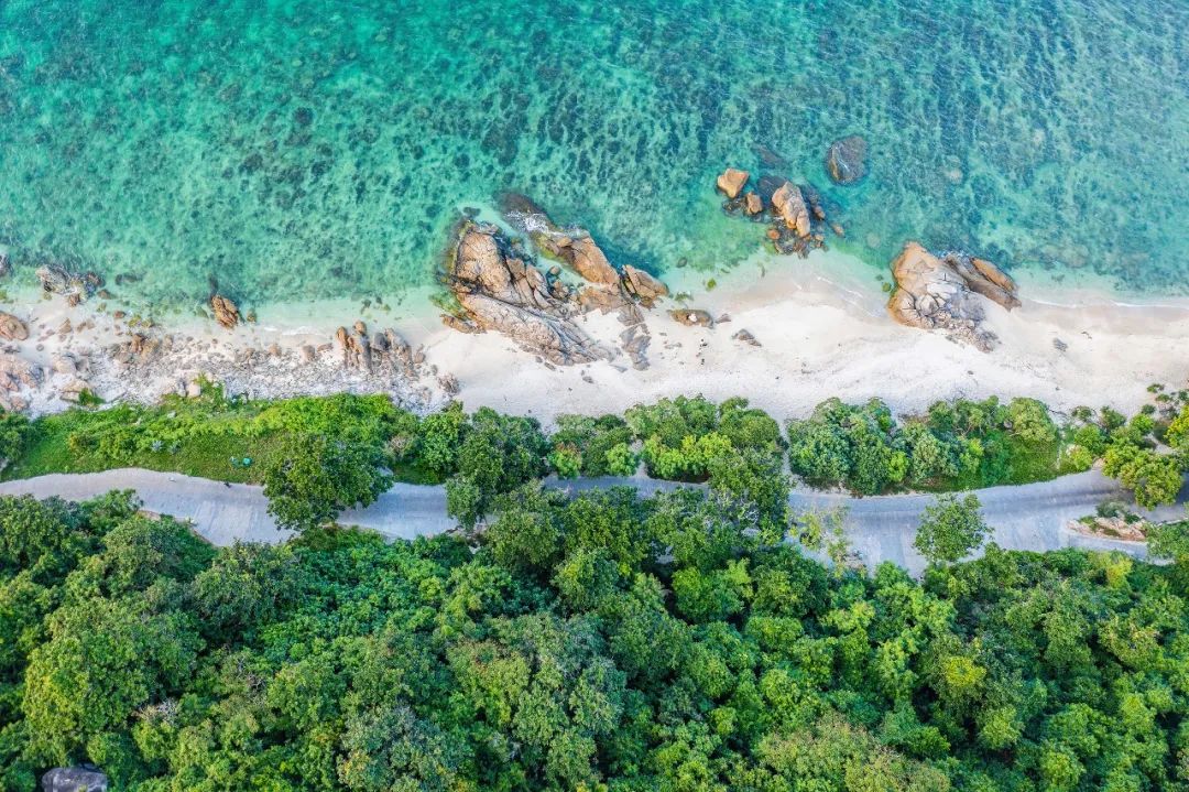 冲上热搜！全长1000公里的最美公路，带你了解新晋避暑胜地的黑马