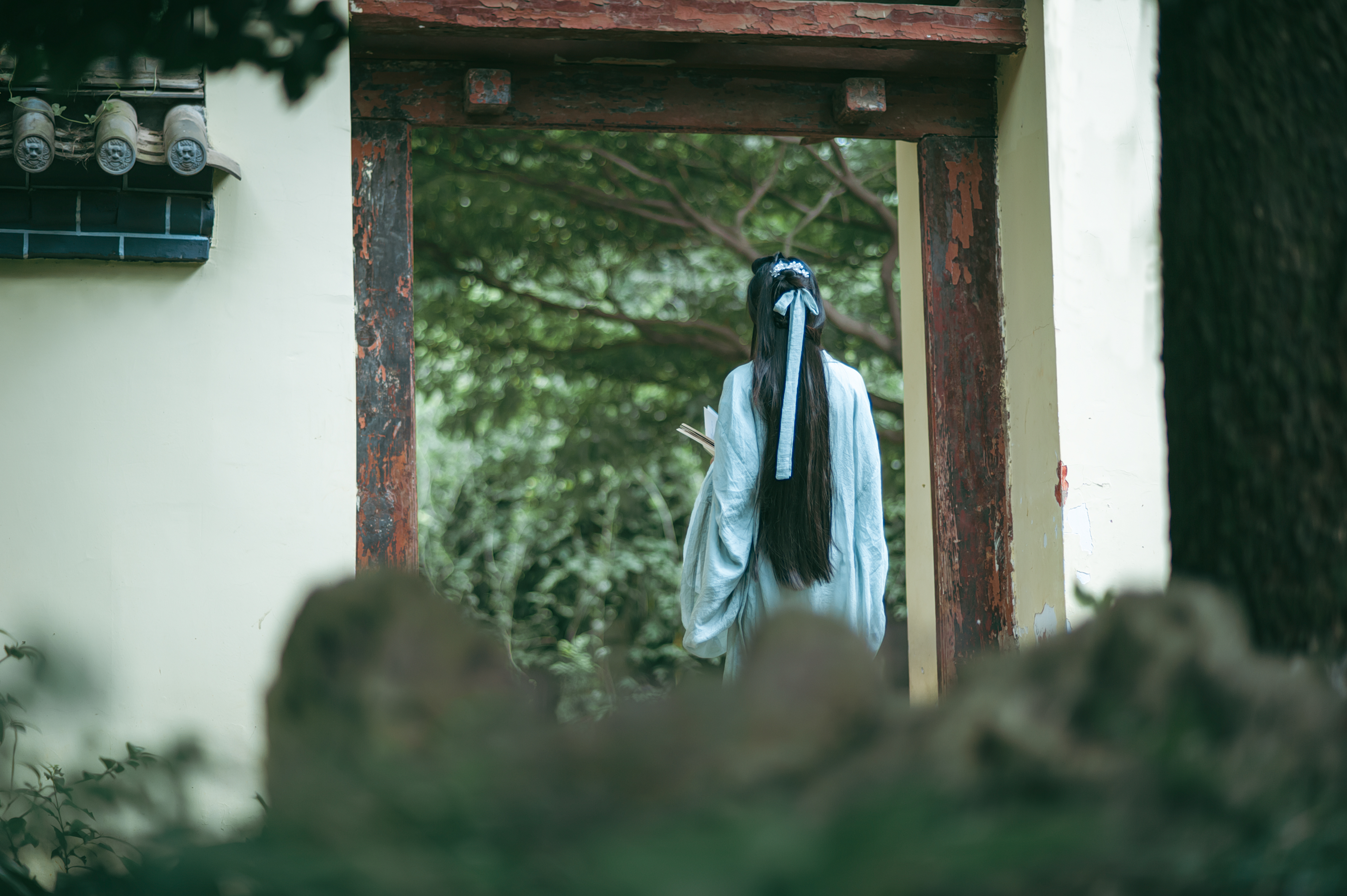 尼康全画幅微单为什么落后于佳能,尼康最新全画幅单反机型