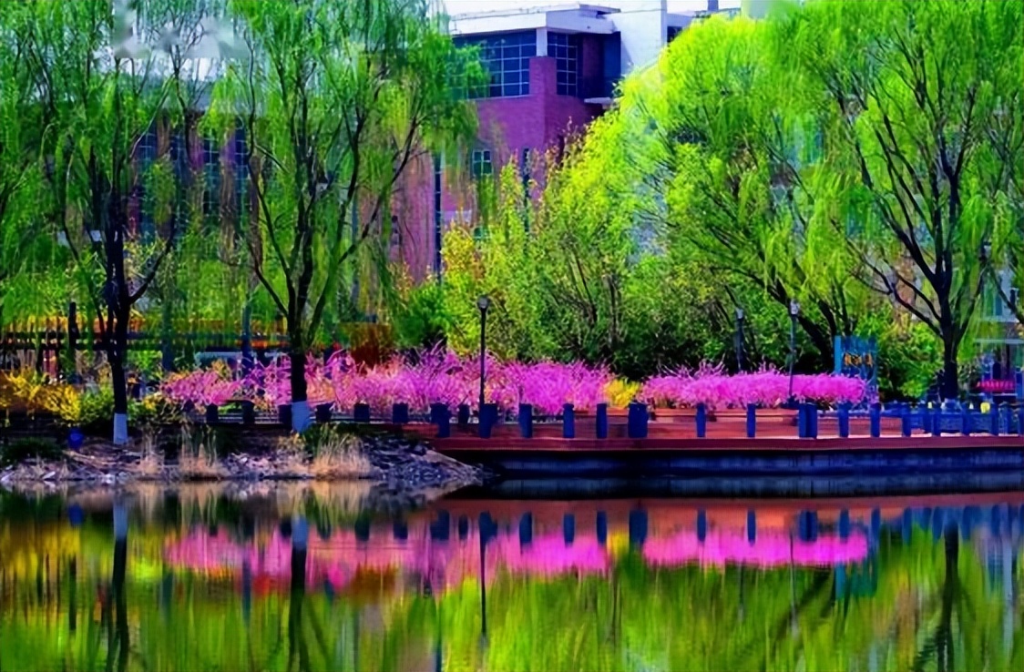 适合专科生最好的5个专业,选专科还有前途吗