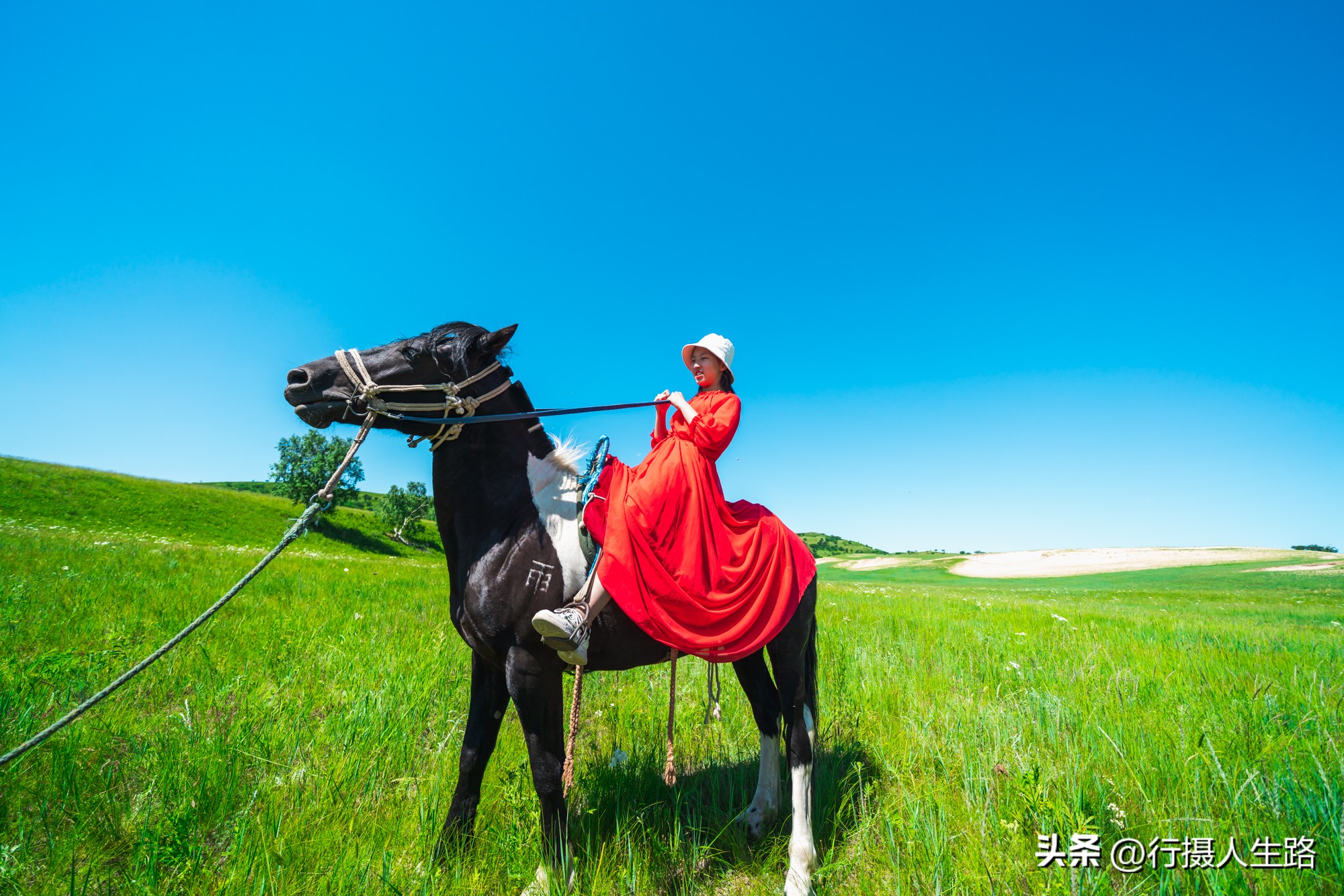 一路向北去追寻夏日美景,一路向北去呼伦贝尔大草原