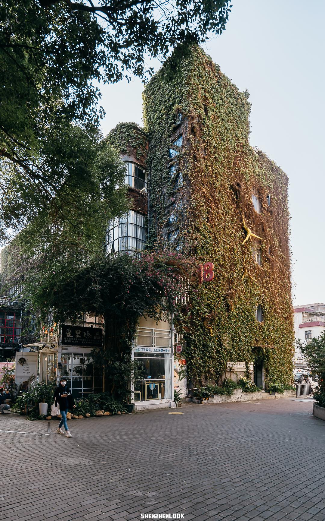 大美深圳全部视频,大美宝安