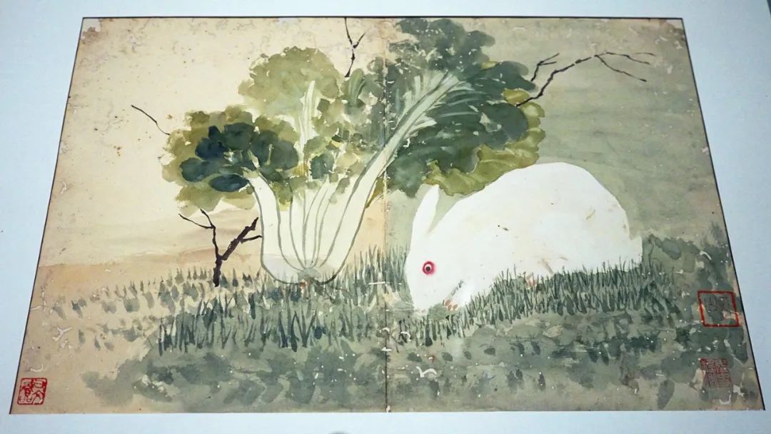 八大山人兔子,八大山人兔价值