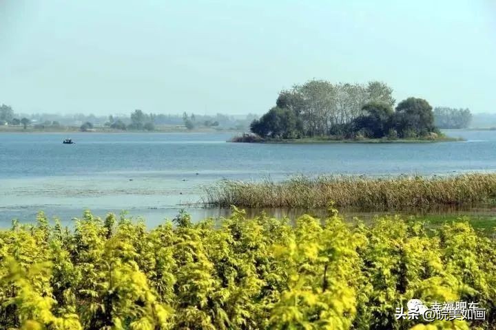 合肥最美湖河,合肥有哪些免费的湖泊景区