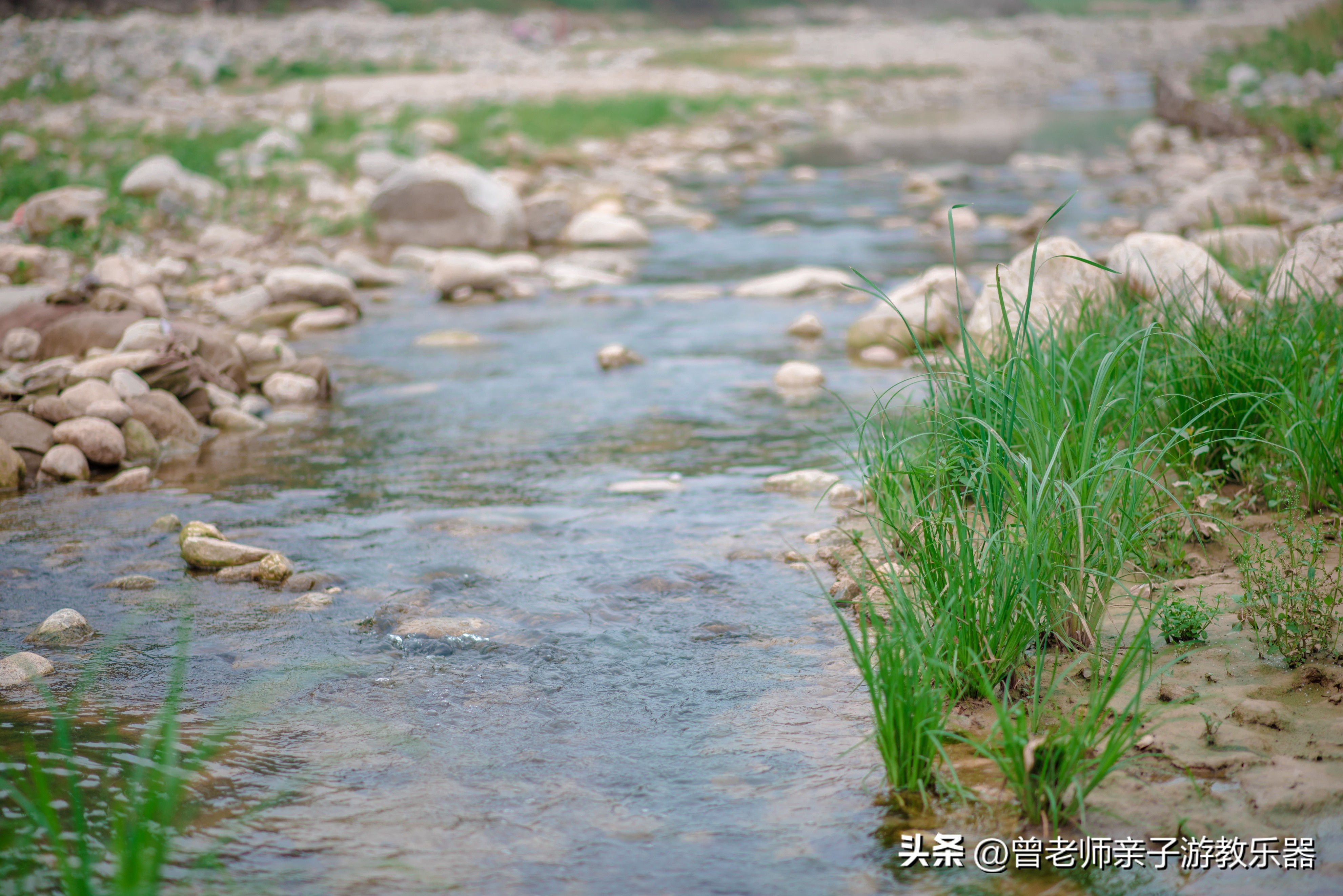 西安旅游景点免费推荐一日游攻略,西安旅游必去景点推荐一日游免费
