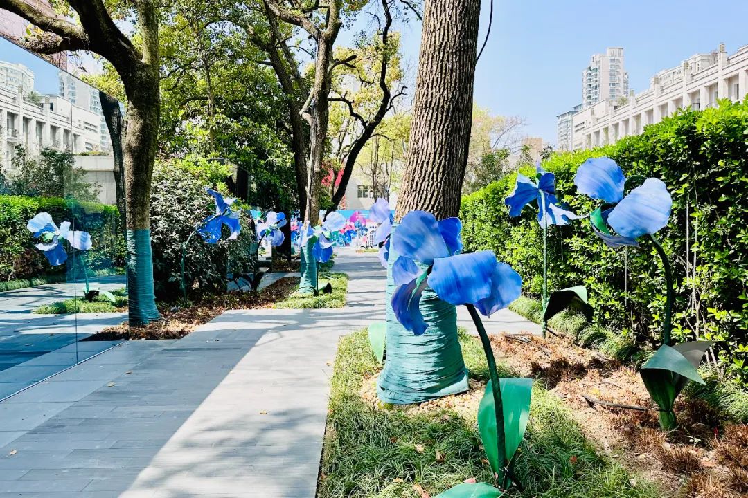 kolon最新款,kolon虎年新款