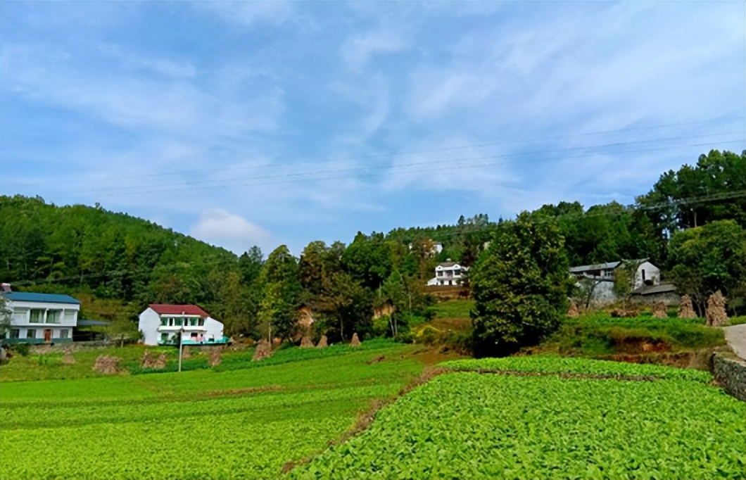 农村的家蛇是什么蛇,农村有句俗话家里进了蛇不能打