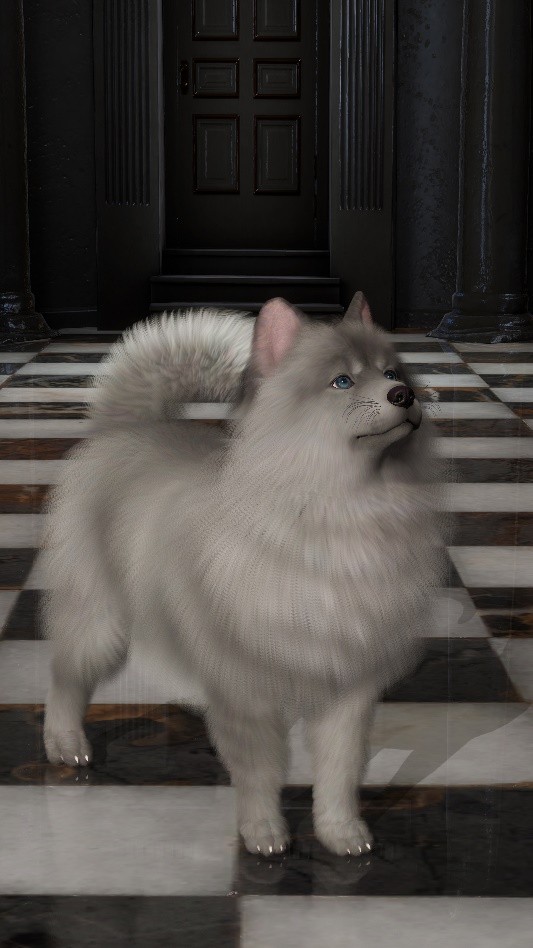 新宠物换装游戏,好玩的宠物换装游戏