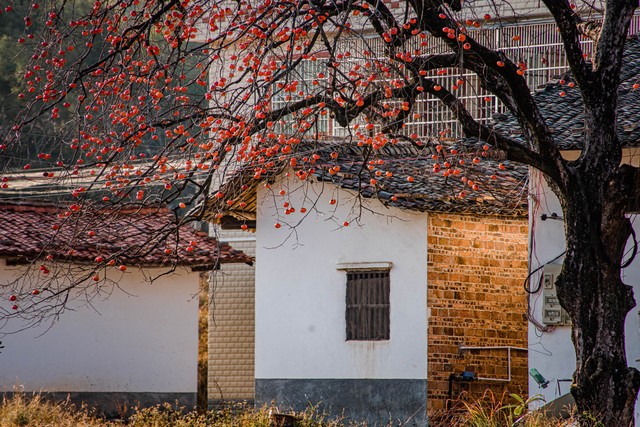 男子花10万元买8套房捡漏还是上当 (女子花7万捡漏买1套房)