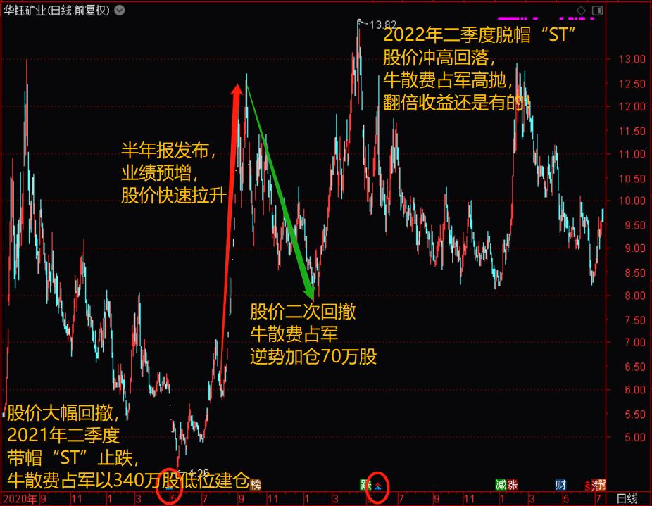 牛散持股超5%意味着什么,牛散费占军个人资料