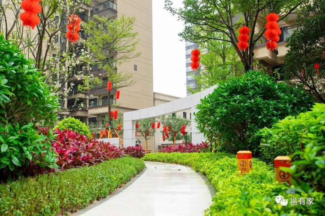 南宁即将开新的新盘,南宁最新交付消息