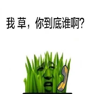 信用卡什么情况逾期才会上征信,信用卡逾期达到多少才会失去征信