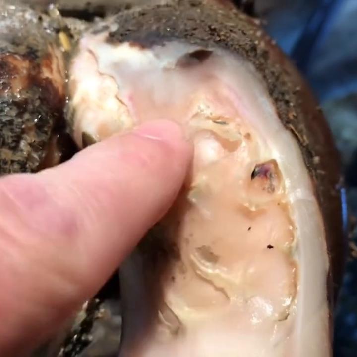 神魔游戏开启,万族争霸,血战神魔!#宝藏小说