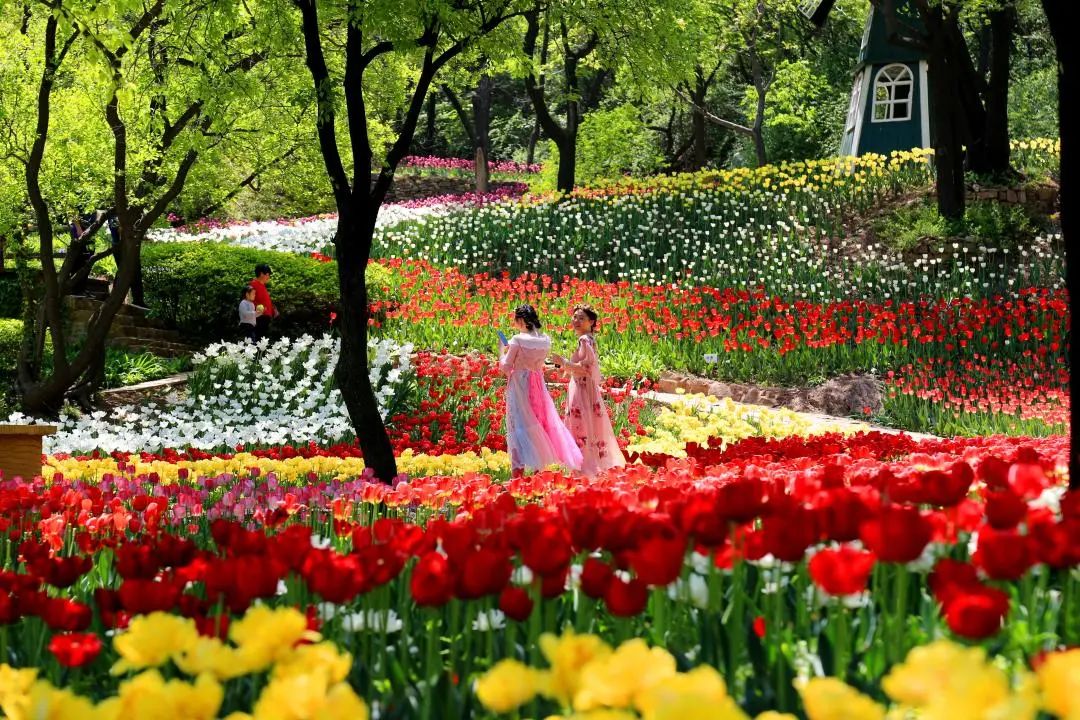 济南出发高铁旅游攻略,济南三天假期去哪玩合适