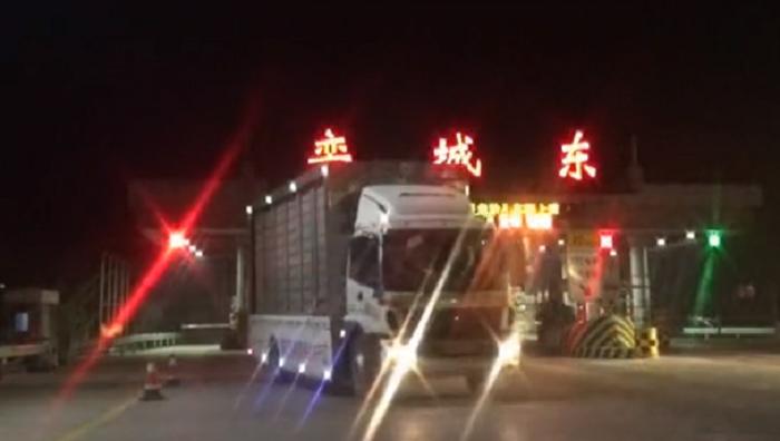 国际赛鸽公棚全部视频,2019国际鸽联世界锦标赛