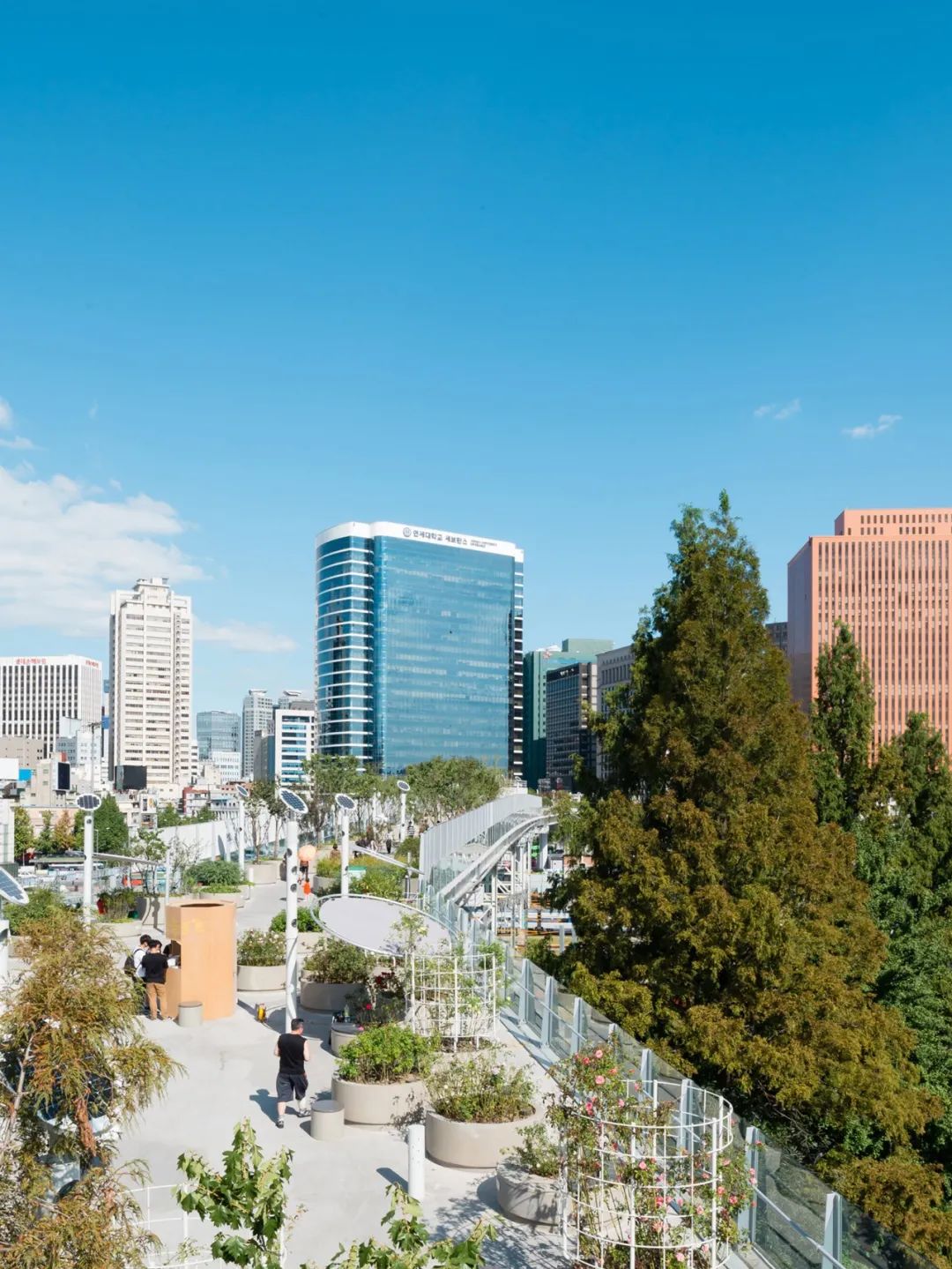 评价高颜值的神评论,高颜值高评价