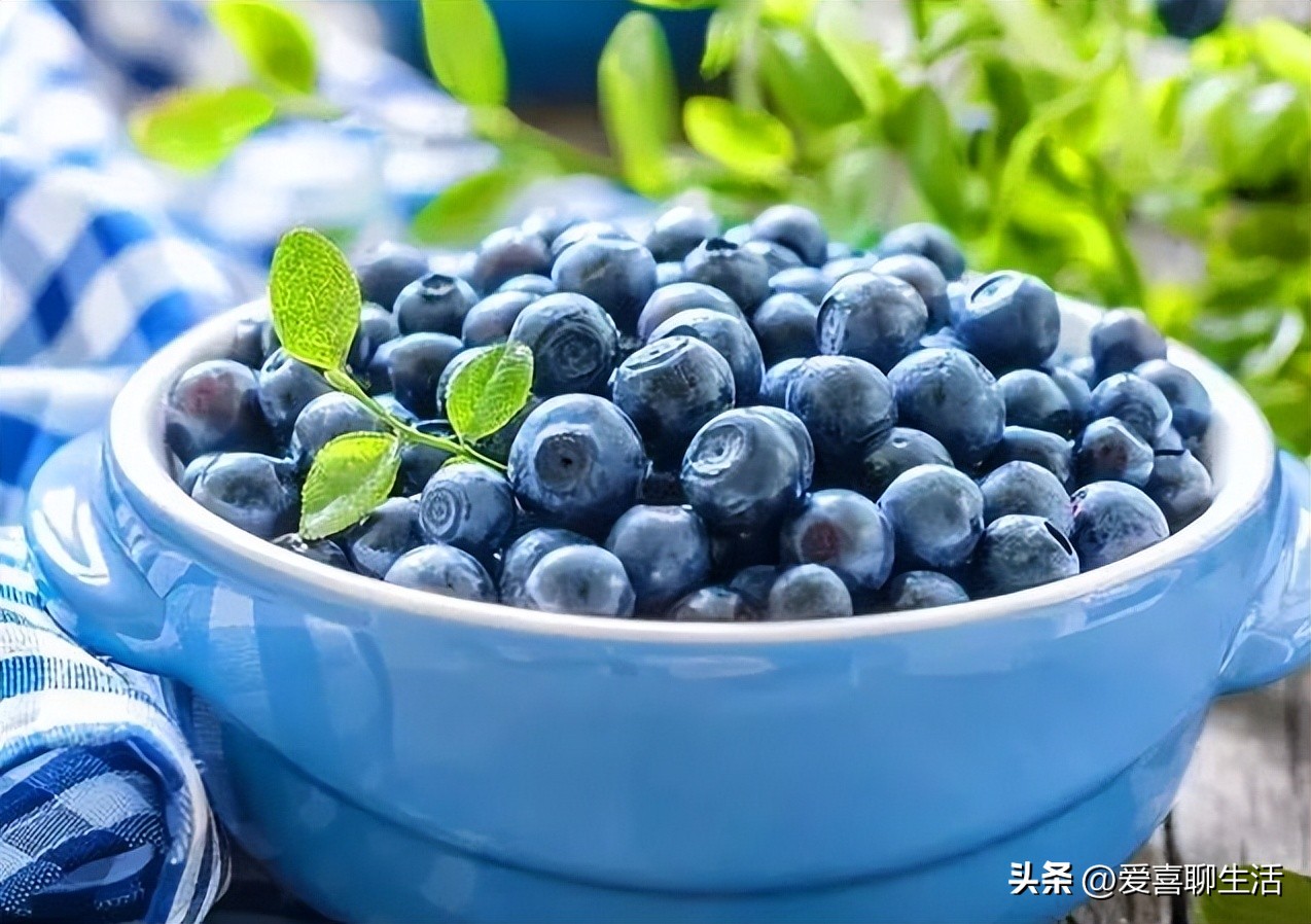 眼睛干涩要吃什么食物比较好,专业保护眼睛干涩的神奇食物