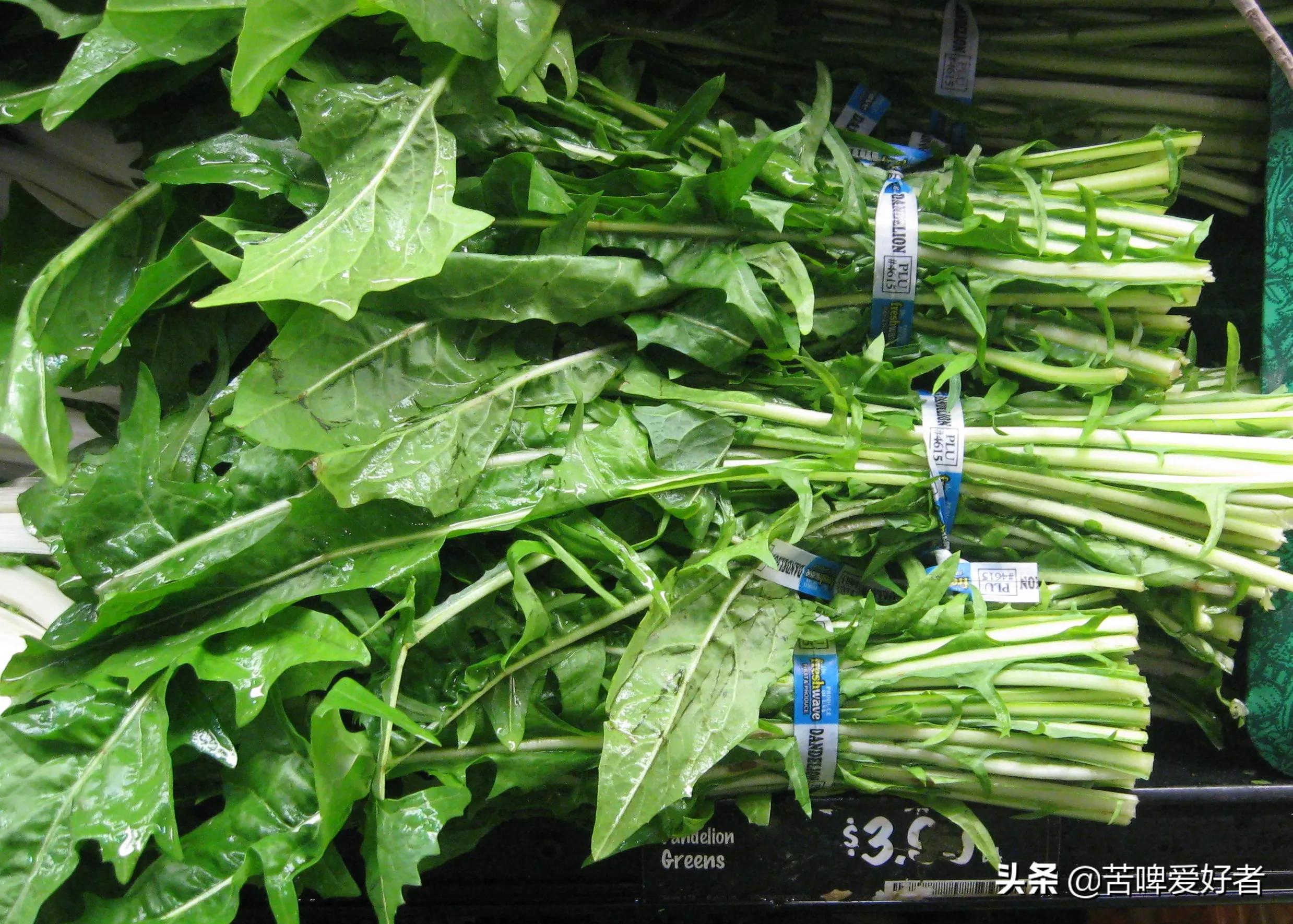 小时候割猪草,小时候割喂猪的猪草都叫什么