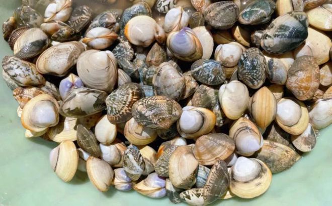 天津五一旅游攻略推荐,天津五一去哪玩更好玩儿