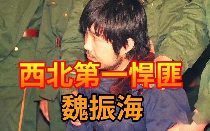 全国十大经典刑事案件,中国十大刑事真实案件排名