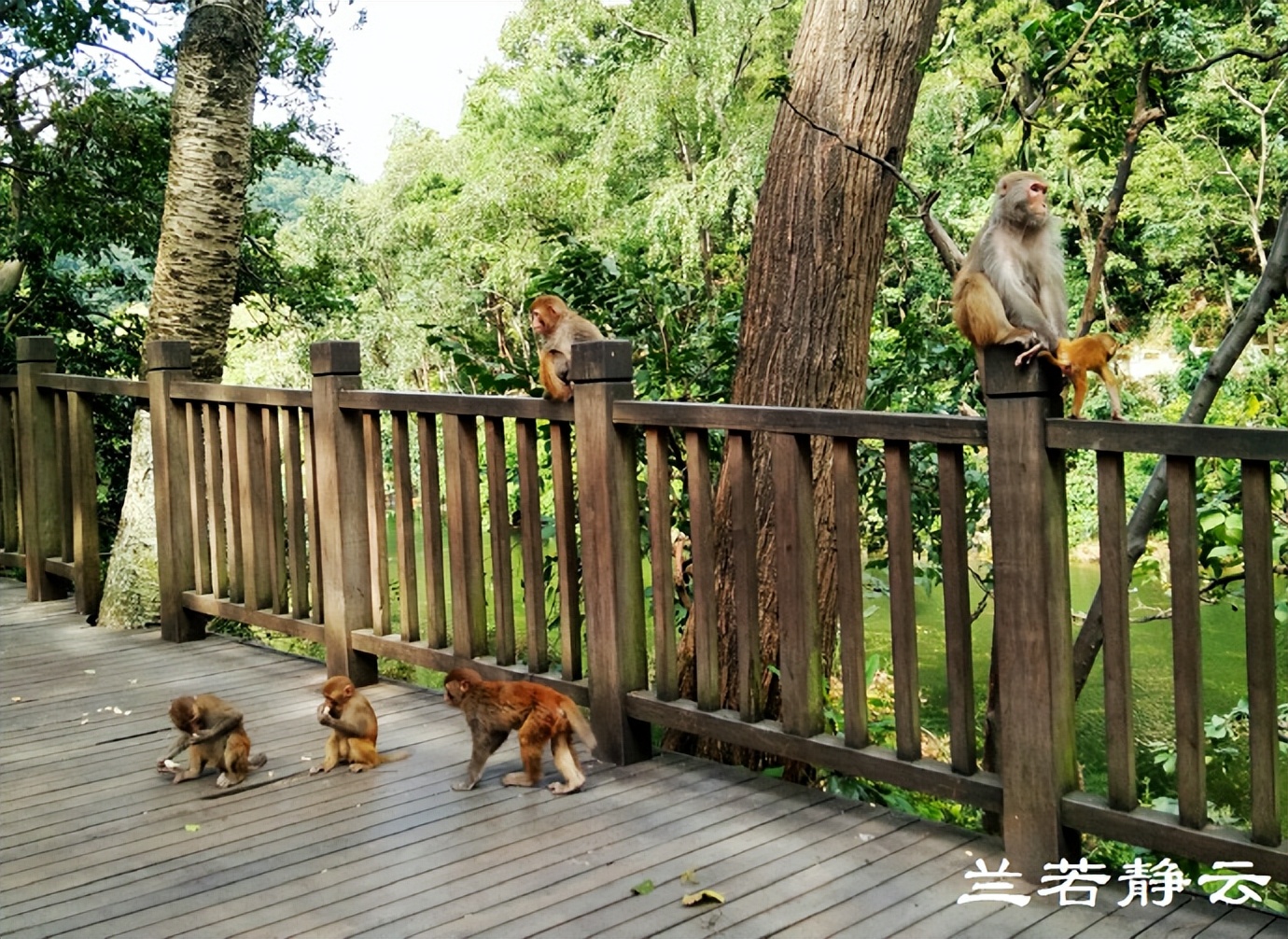 贵阳多彩贵州位置,贵阳多彩贵州城风景区