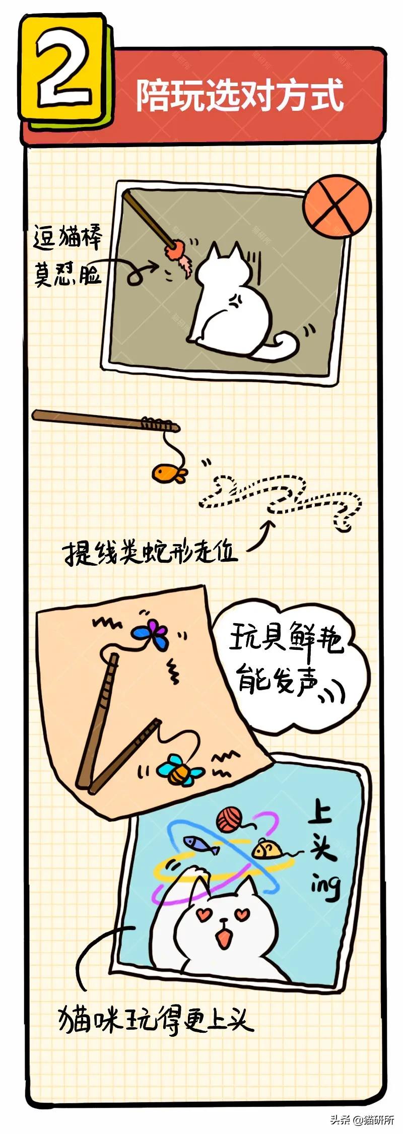 6个哄猫咪开心的小技巧，包教包会