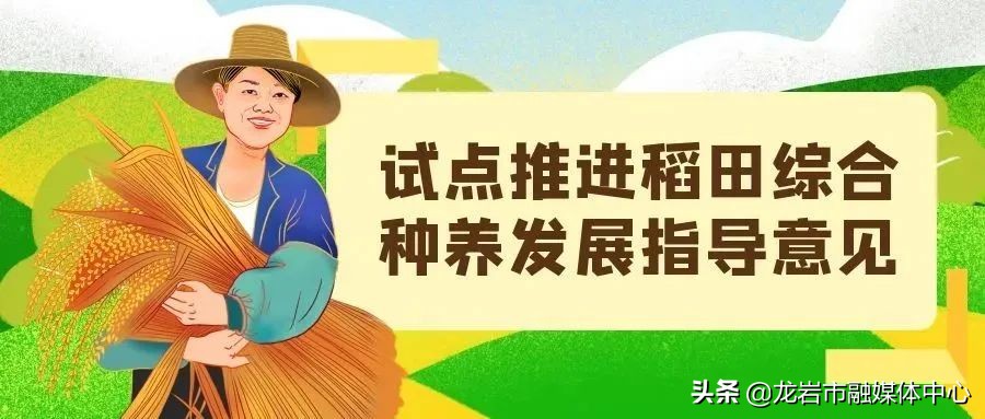 扶持粮食生产政策措施的通知,2020年全国粮食生产有没有新政策