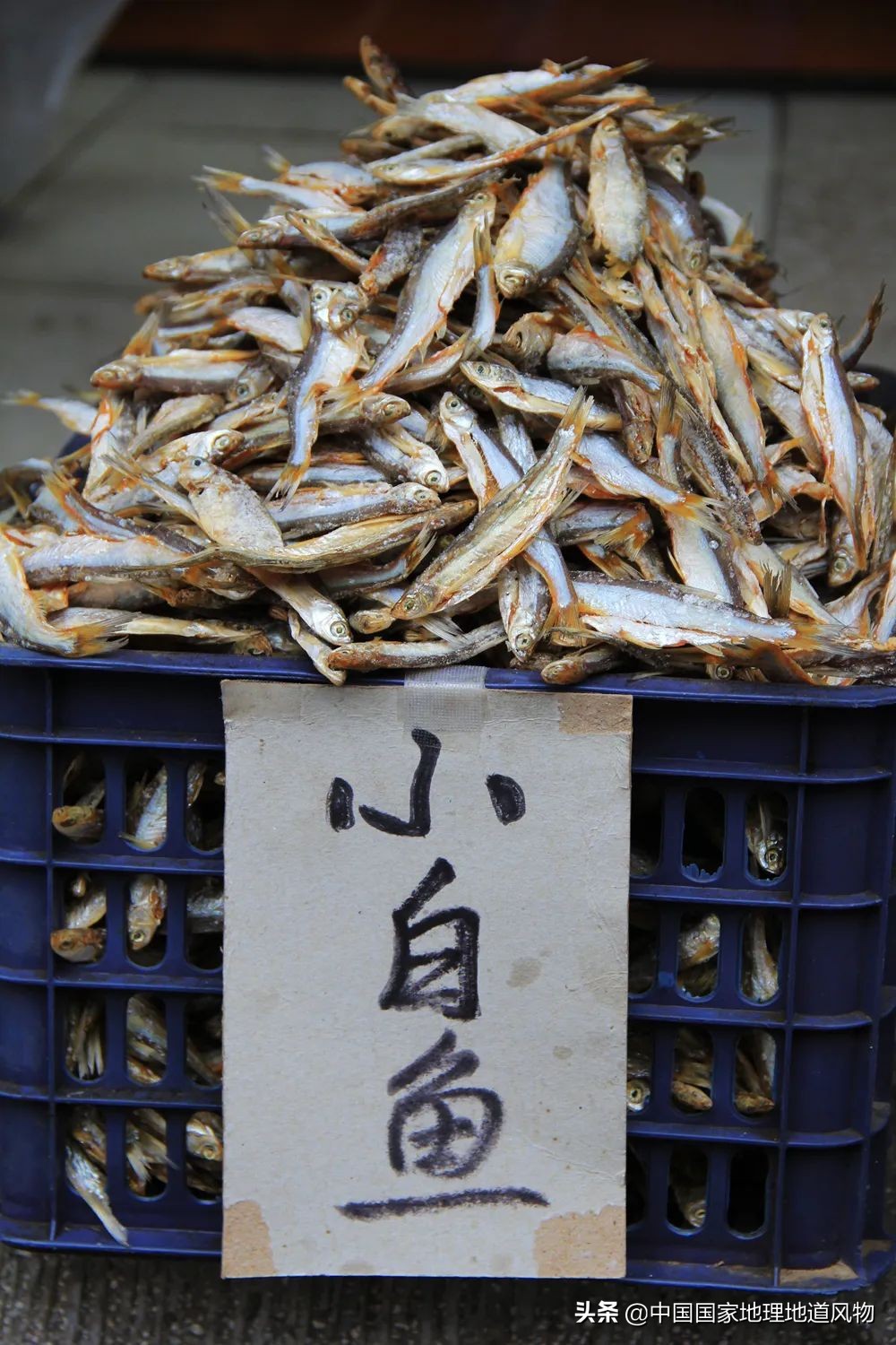 咸鱼最火地图,闲鱼攻略图