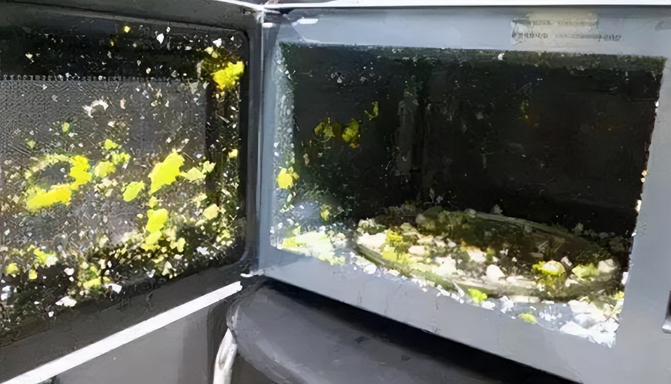 微波炉哪个牌子质量好2020,微波炉哪个品牌质量比较好又实惠