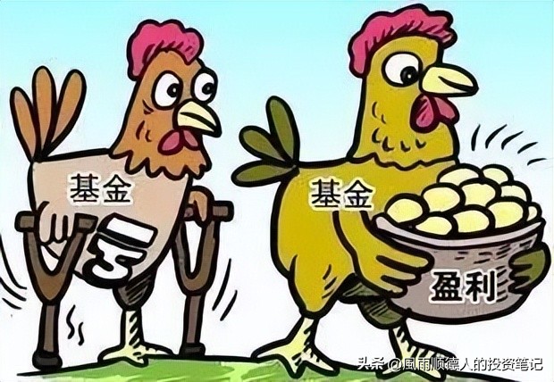 今日开放式基金净值查询,5月基金配置策略