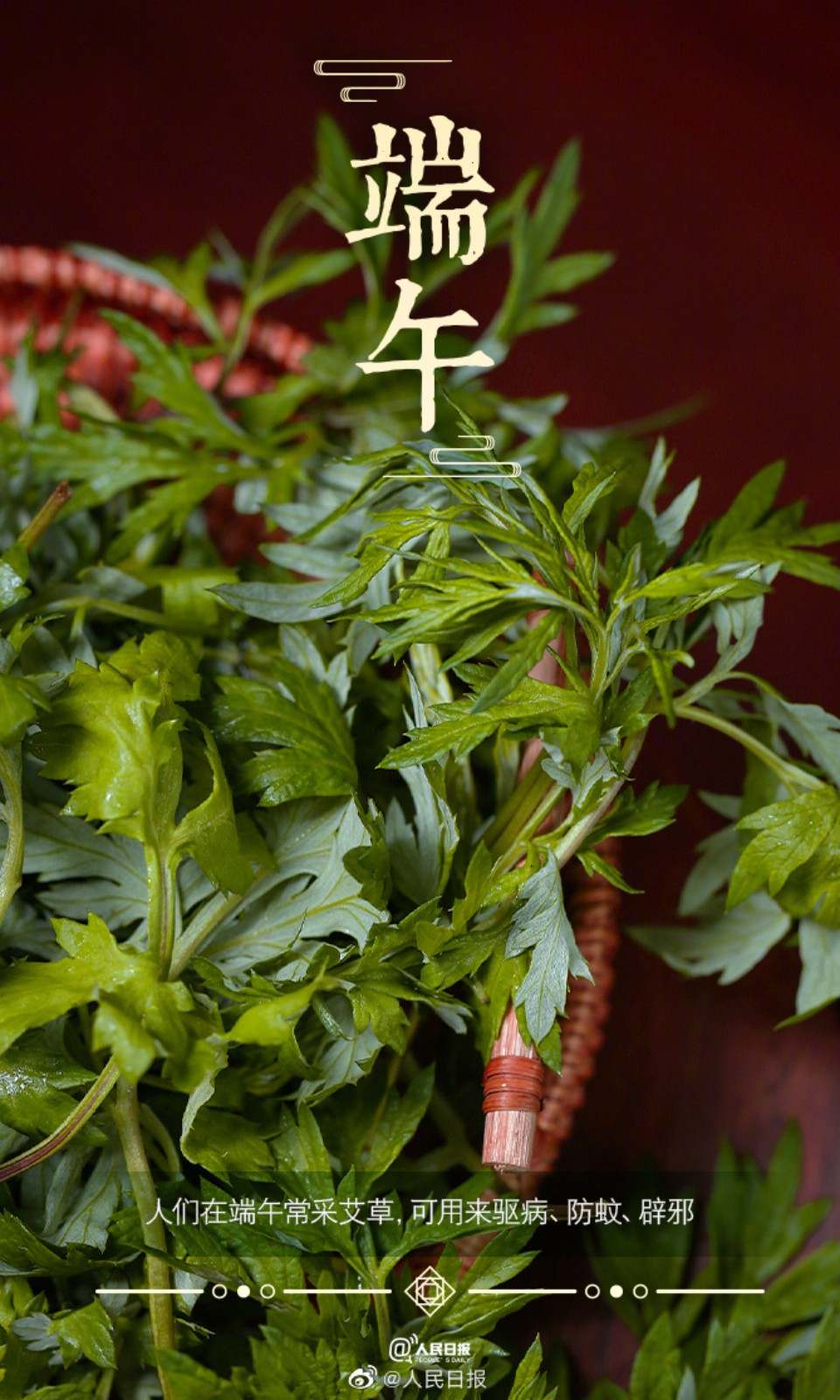 五月五过端午划龙舟敲锣鼓,五月五过端午划龙舟敲大鼓儿童版