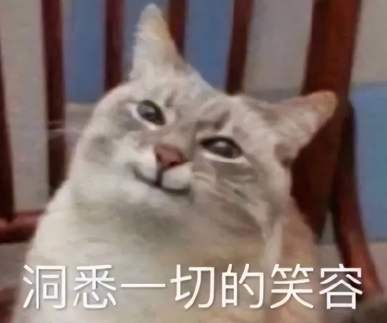 飞利浦外设贴牌,飞利浦代工贴牌南极人