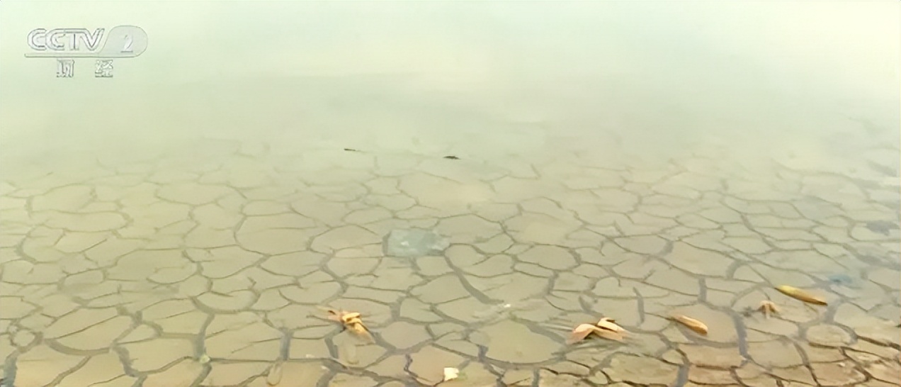 全国多地遭遇极端高温,全球多地遭极端高温天气预示什么